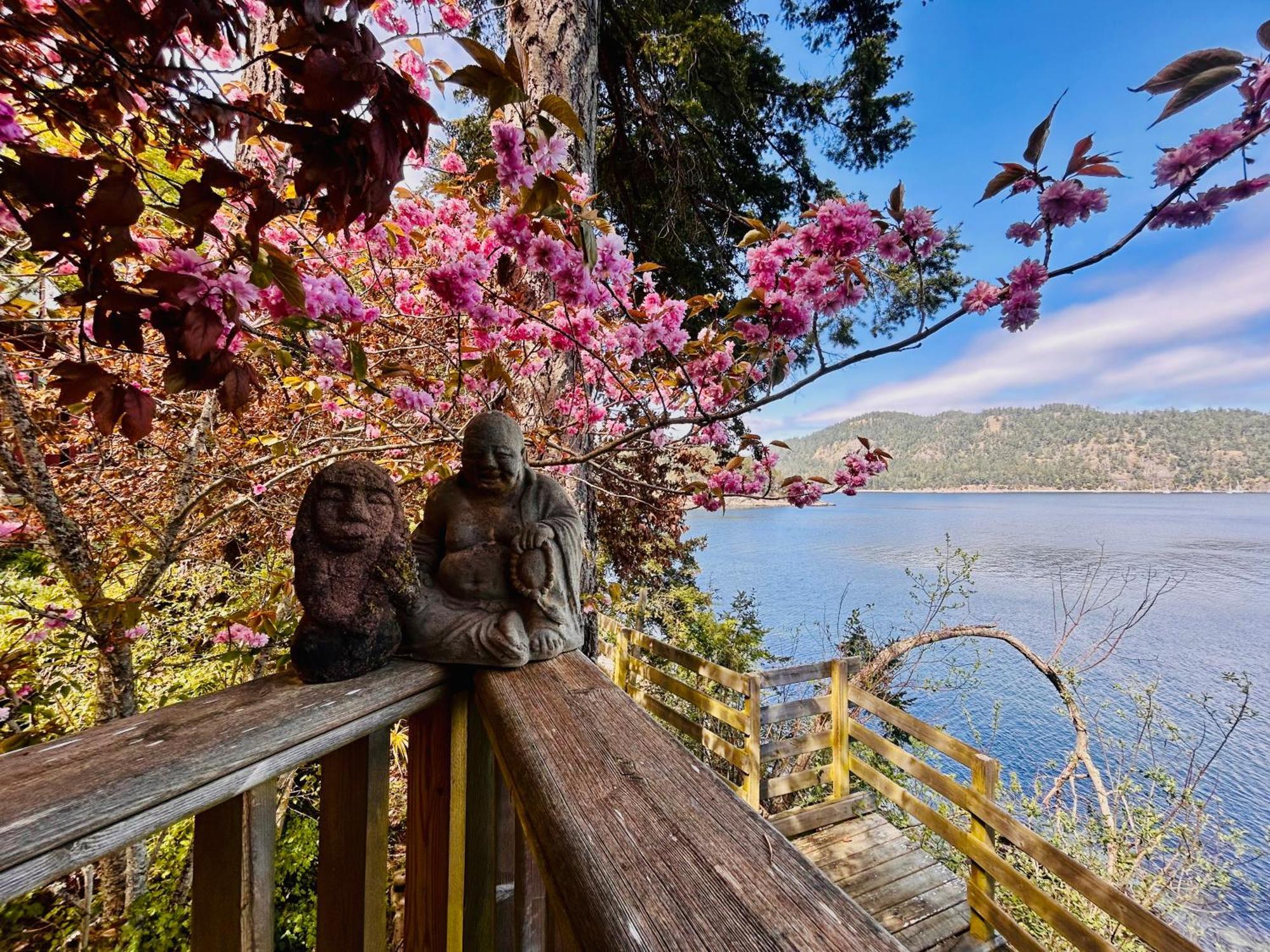 Shangrila Waterfront Vacation Home Bedwell Harbour Exterior photo